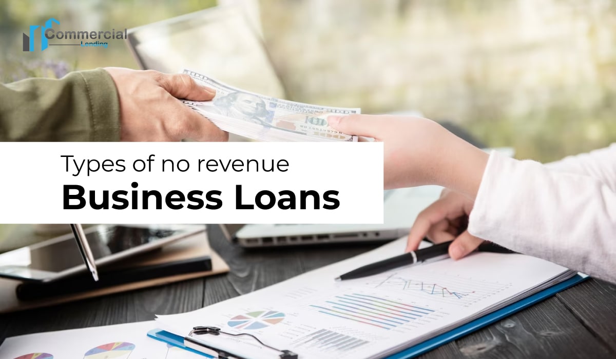 types of no revenue business loans