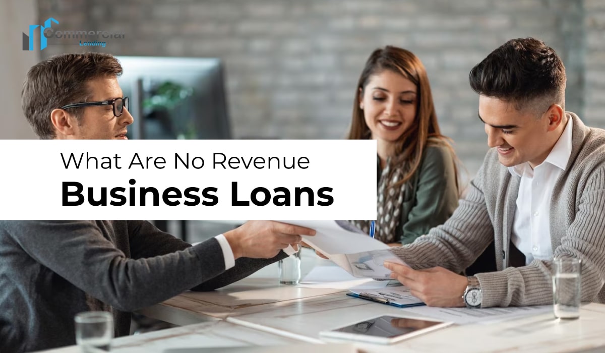 what are no revenue business loans